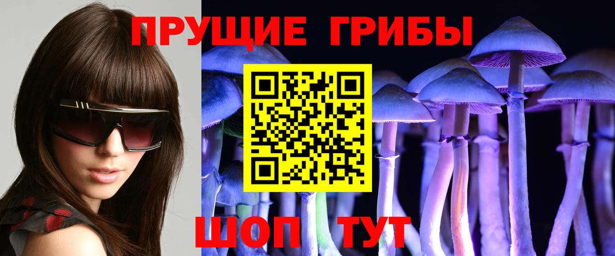 Галлюциногенные грибы Cubensis  Вход с VPN  Гудермес 